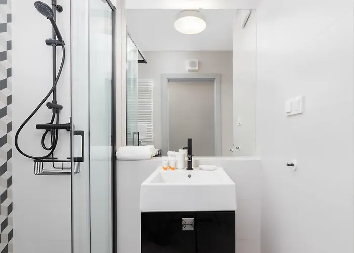 Slaska With Parking & Gym Business District By Renters Daire